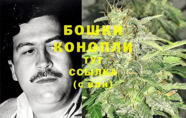 ГАЛЛЮЦИНОГЕННЫЕ ГРИБЫ Верея