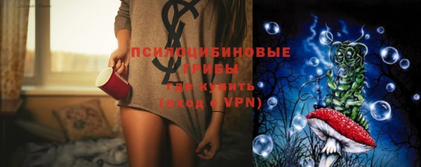 ГАЛЛЮЦИНОГЕННЫЕ ГРИБЫ Верея
