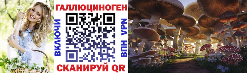Галлюциногенные грибы Cubensis  магазин продажи   Каменка 